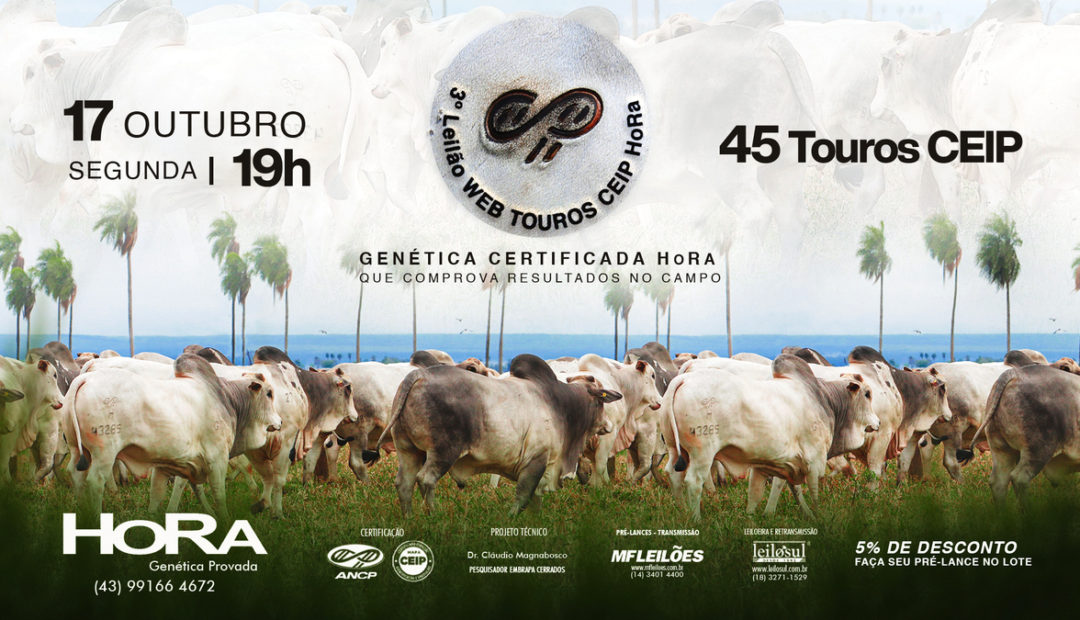 HoRa realiza leilão de touros com genética certificada