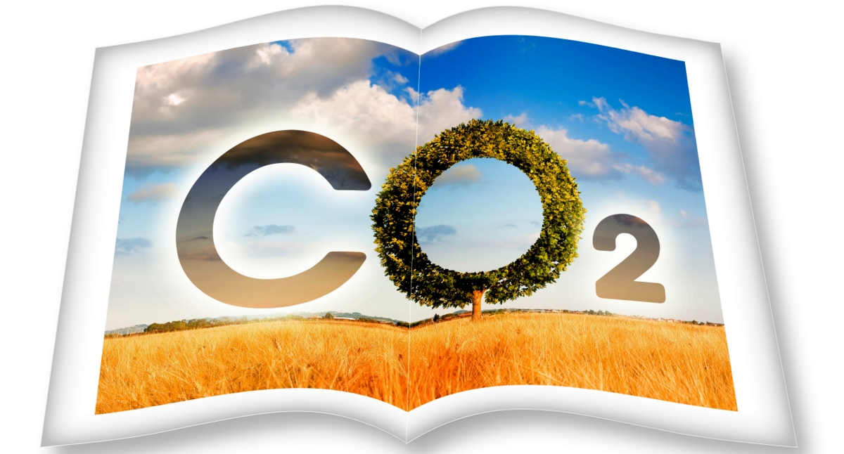 Livro aberto com cenário de pastagem e céu azul, com o símbolo CO2 em tamanho grande. O O está representado por uma árvore em formato redondo.