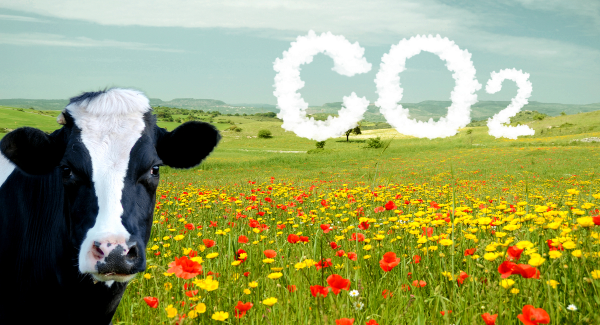 Campo florido com a presença de vaca branca e preta no canto esquerdo. Em destaque está a sigla CO2 ao centro da imagem.