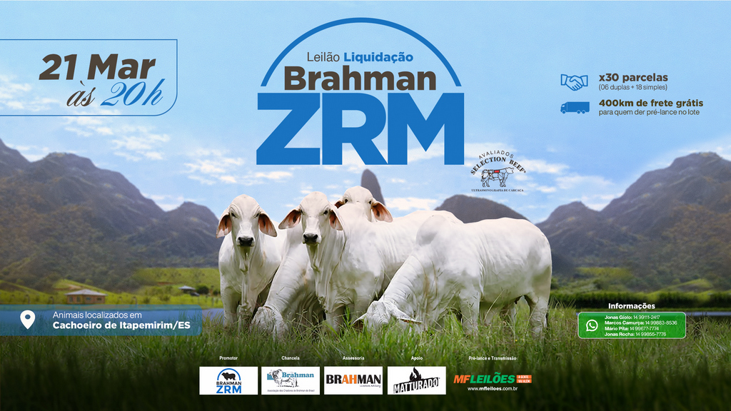 Brahman ZRM realiza leilão liquidação com renomado plantel