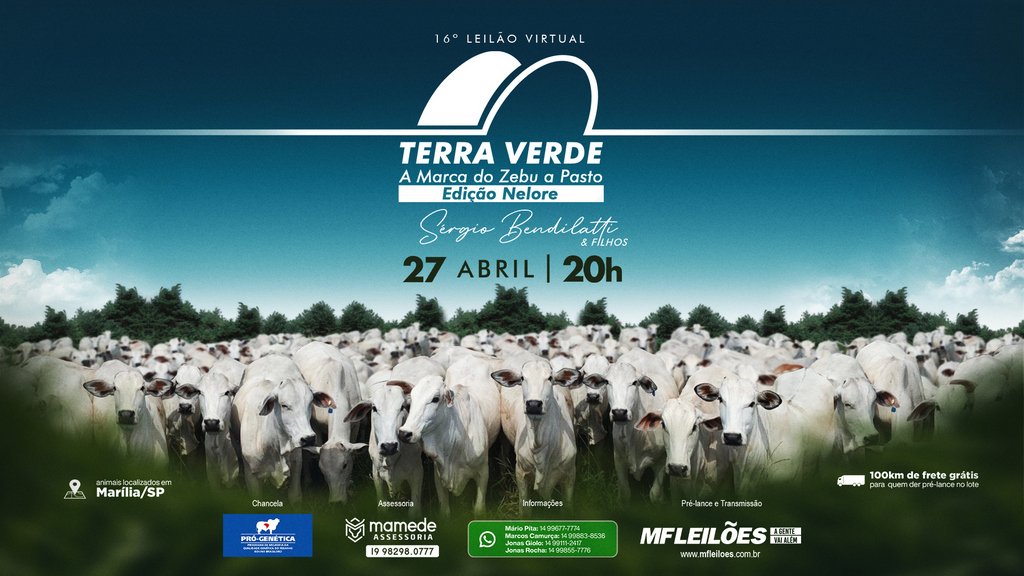 Fazenda Terra Verde realiza 16ª edição do Leilão Virtual da raça Nelore