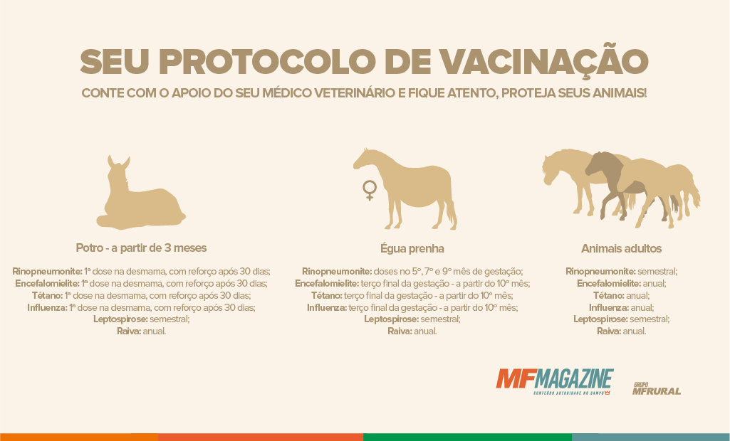 Infográfico contendo informações sobre o protocolo de vacinação de potros, éguas prenhes e animais adultos