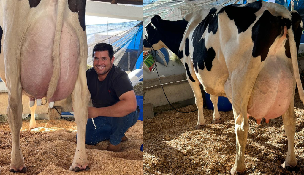 Criador, Diego Vaz de Oliveira, com a vaca Poesia, que conquistou o título de recordista mundial em produção de leite