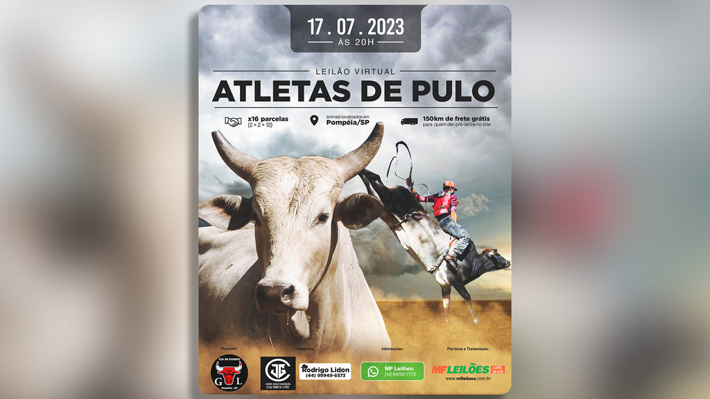 Leilão Atletas de Pulo traz touros jovens de rodeio como destaque